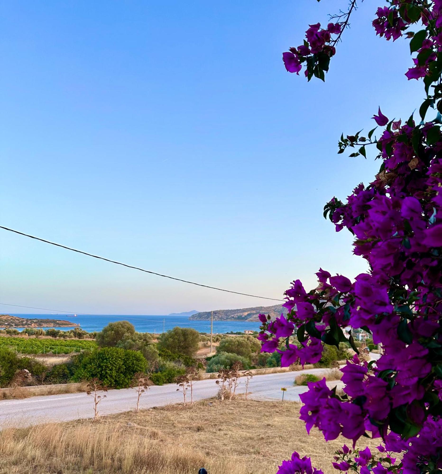 Kallitheas Seaview Sounion Exterior photo